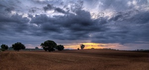 nuvole, alberi, cielo, tramonto, sole, panorama, alba, temporale, campi, campo, campagna, paesaggio